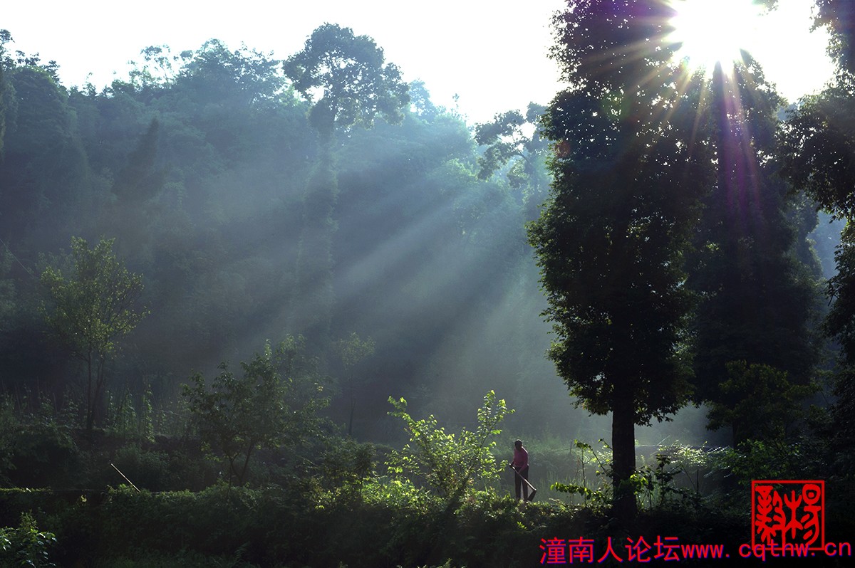 1.天地日月精华蕴珍稀.jpg