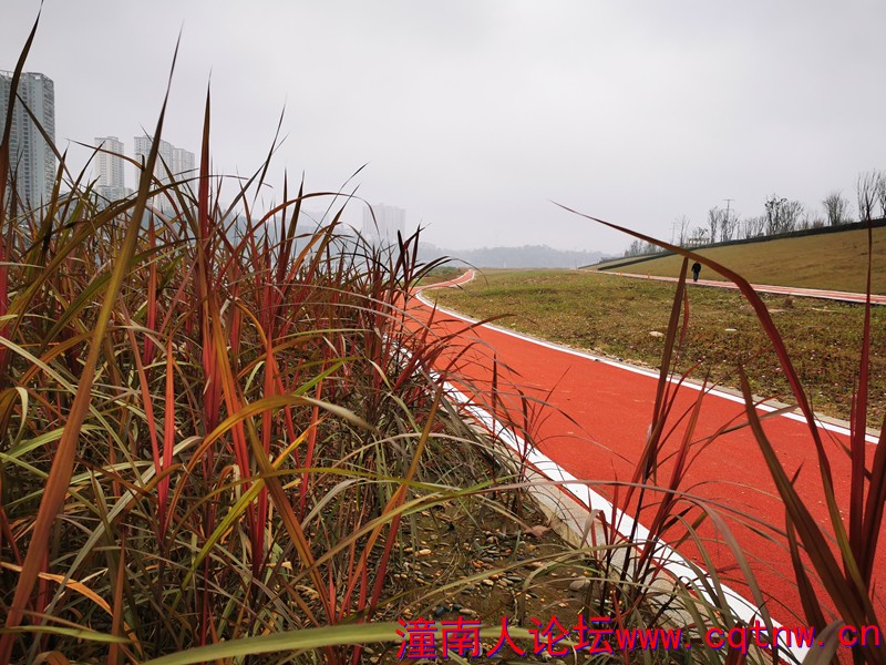 步道2.jpg